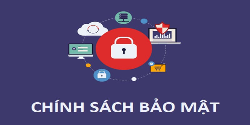 Website thu thập các dữ liệu cá nhân của người dùng