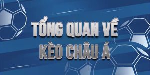 Hướng Dẫn Chi Tiết Cách Đọc Kèo Châu Á Cho Người Mới Bắt Đầu